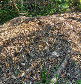 Green Waste Recycling | Green Waste Disposal | Garden Waste Recycling | Commercial |  Garden Waste Disposal |  | Garden Waste Recycling | Garden Waste Disposal | Plymouth | Saltash | Cornwall and Devon