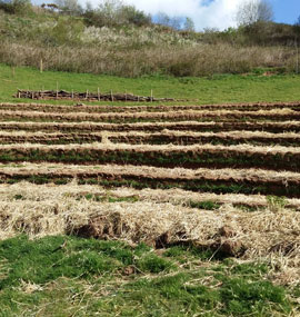 Green Waste Recycling | Green Waste Disposal | Garden Waste Recycling | Commercial |  Garden Waste Disposal |  | Garden Waste Recycling | Garden Waste Disposal | Plymouth | Saltash | Cornwall and Devon